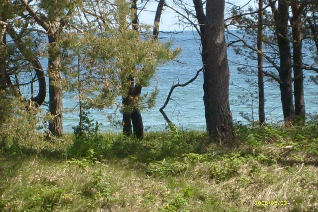 Apartment Mit Meeresblick Binz Rom bilde